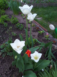 20180516_170711.jpg