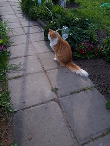20180516_170643.jpg