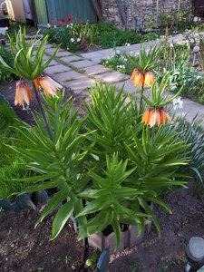 20180516_170944.jpg