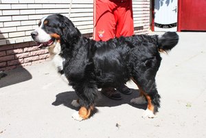 IMG_6401.JPG