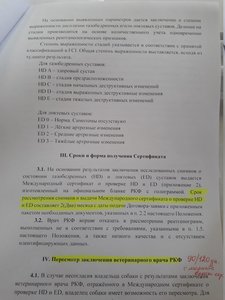 20180604_161854.jpg