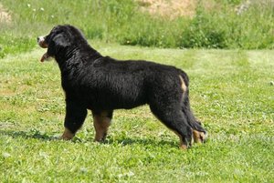 margo1.jpg