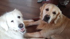 20180123_133121.jpg