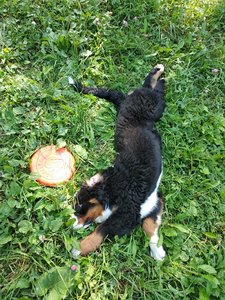 IMG_20180827_140825.jpg