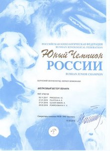 диплом005.jpg