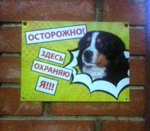 A8ABA22D-6123-4BA9-A1D0-A1BAB8606C75.jpeg