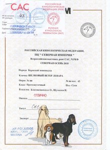 диплом005.jpg