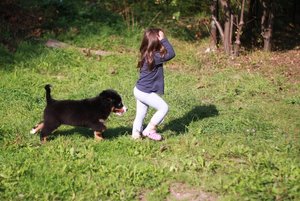 IMG_2696.JPG