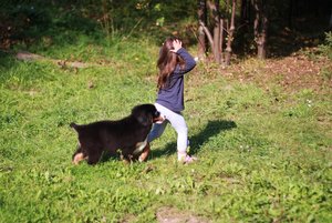 IMG_2697.JPG