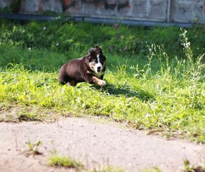 IMG_2702.JPG