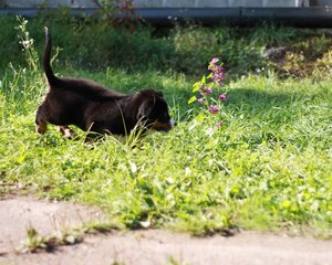 IMG_2704.JPG