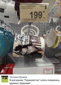 41669225_2178609229018873_631120378718060544_n[1].jpg