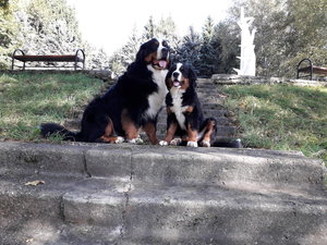 20180920_112016.jpg