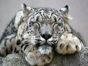 IMG_20180929_145049.jpg