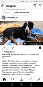 Screenshot_20190106-184632.jpg
