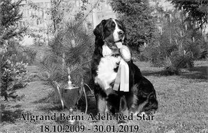 213-0916-4095-K-Bern.jpg