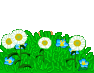 0057.gif