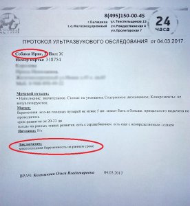 IMG_20170304_175535.jpg