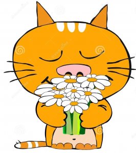 gatto-romantico-4331848.jpg