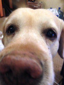 2014-04-21 02-55-35.jpg