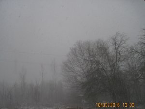 IMG_8613.JPG