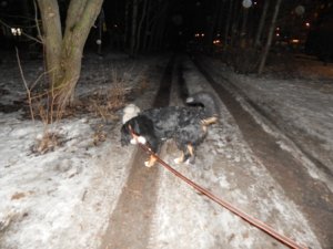 DSCN1727.JPG