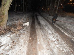 DSCN1728.JPG