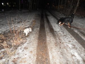DSCN1729.JPG