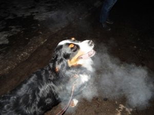 DSCN1731.JPG