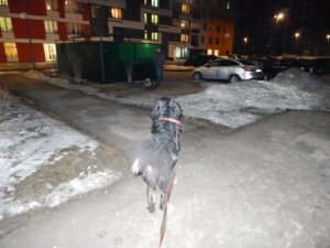 DSCN1735.JPG
