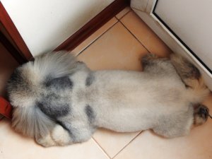 DSCN1715.jpg