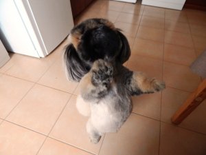 DSCN1716.jpg