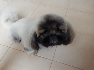 DSCN1722.jpg