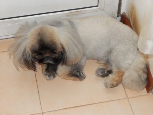 DSCN1725.jpg