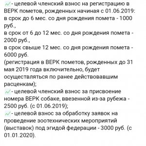 20190517_085045.jpg