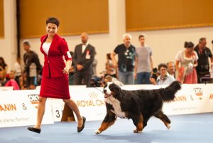 IMG_2103.JPG