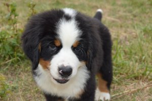 DSC_0812.JPG