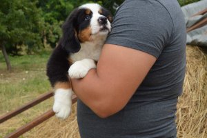 DSC_0831.JPG