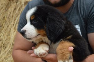 DSC_0722.JPG