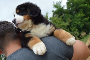DSC_0555.JPG