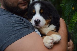 DSC_0564.JPG