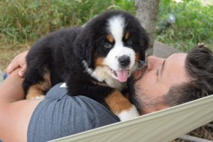 DSC_0890.JPG