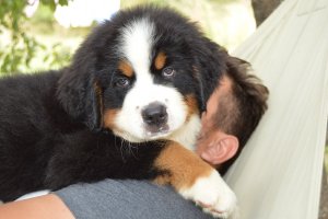 DSC_0892.JPG