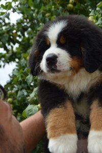 DSC_0909.JPG