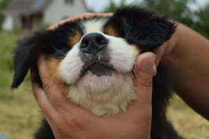DSC_0756.JPG