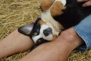 DSC_0760.JPG