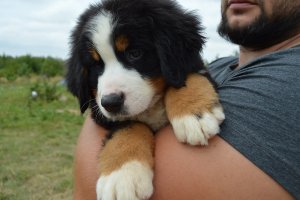 DSC_0765.JPG