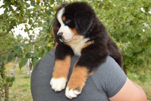 DSC_0768.JPG