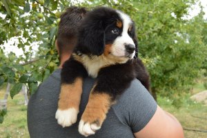 DSC_0770.JPG