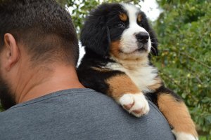 DSC_0776.JPG